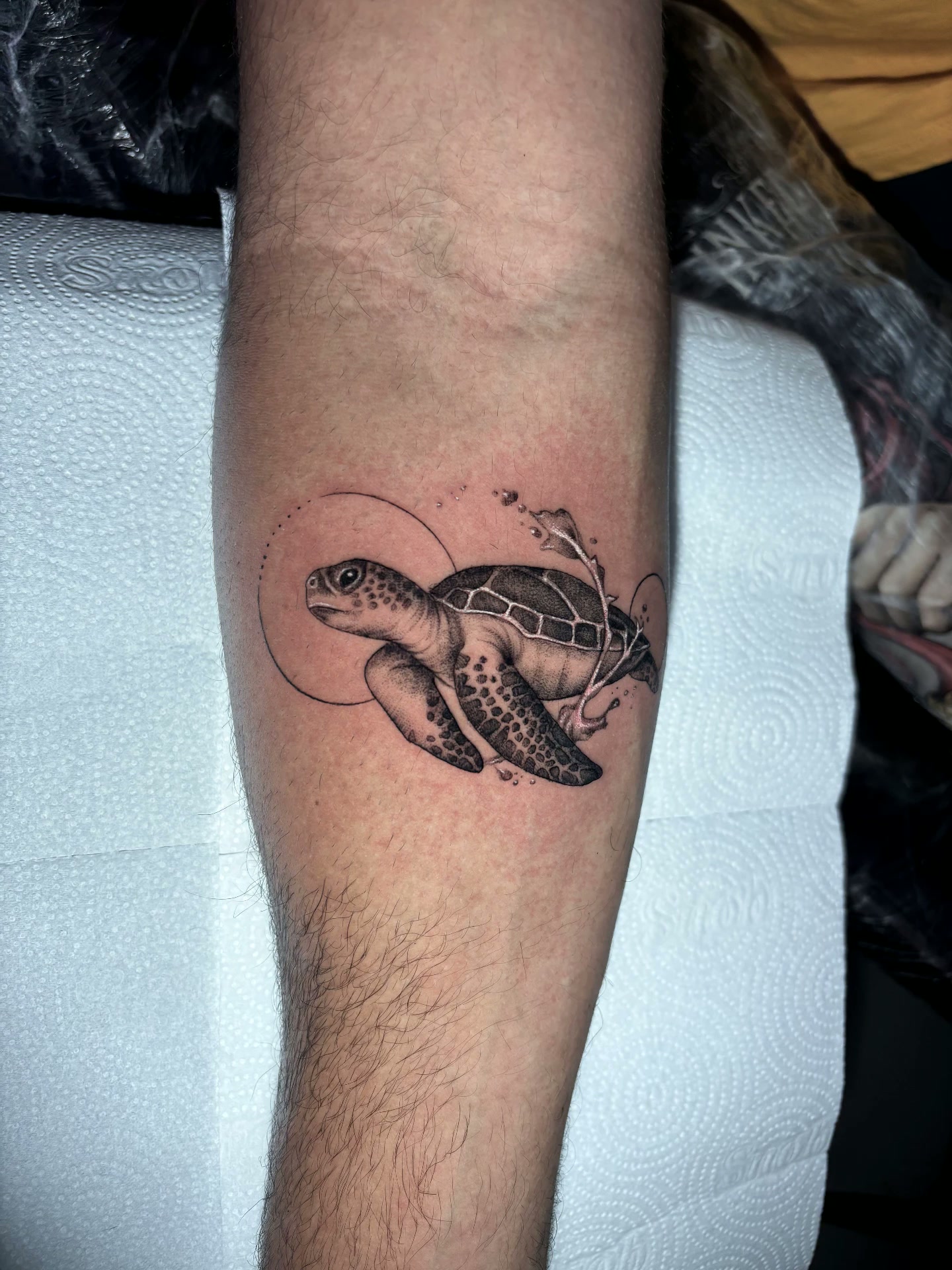 Tatuagem fine line de tartaruga por Ricardo